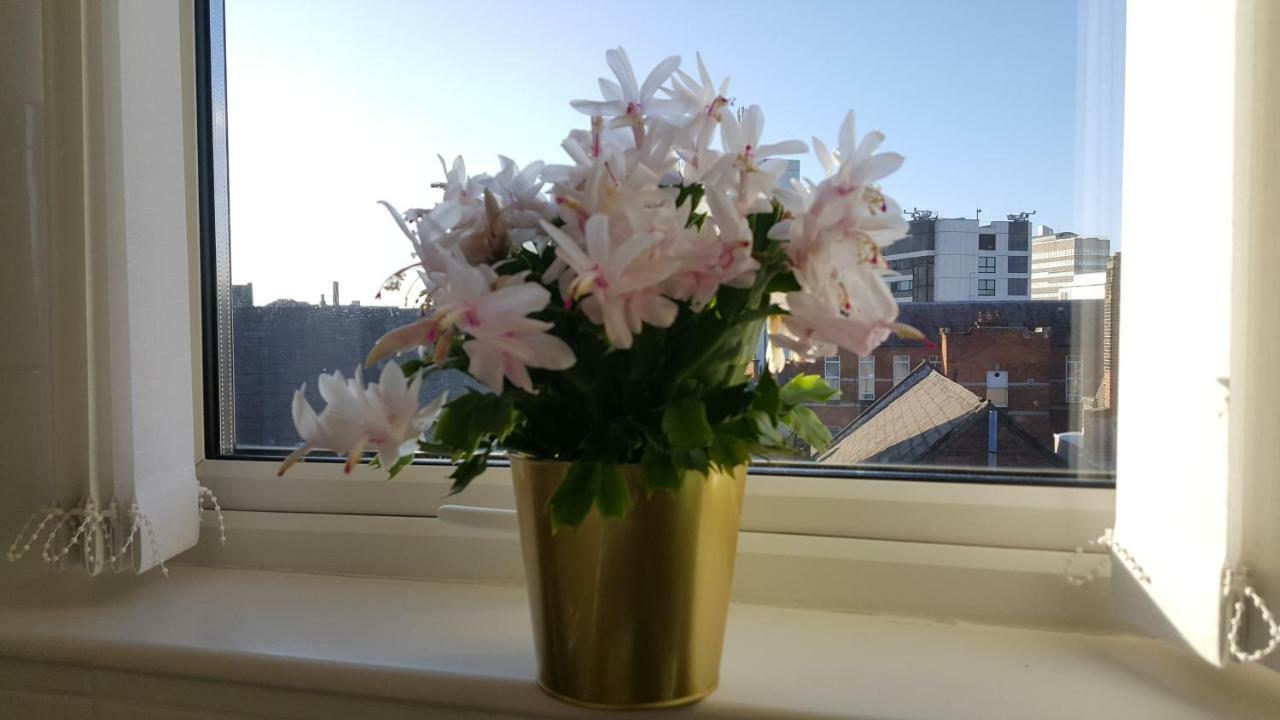 Queens Quarter Holiday Homes (Adults Only) Belfast Extérieur photo
